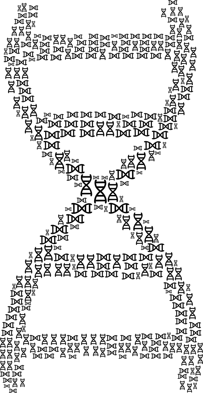 成都核酸︰(成都核酸药物公司) 成都核酸︰(成都核酸药物公司)